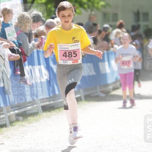17.05.2025 - Störlauf H.Heesch http://msf.ph/oto/7900263 17.05.2025 14:01:41 Ziel 60, 2025, 485, 994, 423, 424 meine-sportfotos.de