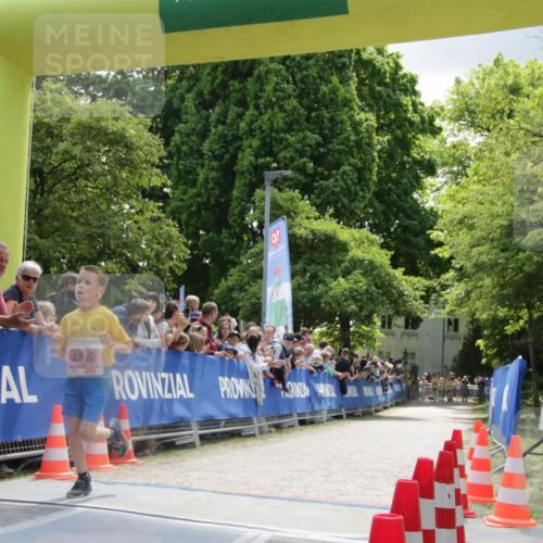17.05.2025 - Störlauf H.Heesch http://msf.ph/oto/7900267 17.05.2025 13:55:47 Ziel 486 meine-sportfotos.de
