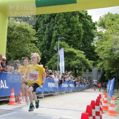17.05.2025 - Störlauf H.Heesch http://msf.ph/oto/7900270 17.05.2025 13:55:55 Ziel 464 meine-sportfotos.de