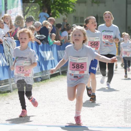 17.05.2025 - Störlauf H.Heesch http://msf.ph/oto/7900459 17.05.2025 14:02:17 Ziel 911, 2025, 560, 437, 37, 586, 38 meine-sportfotos.de