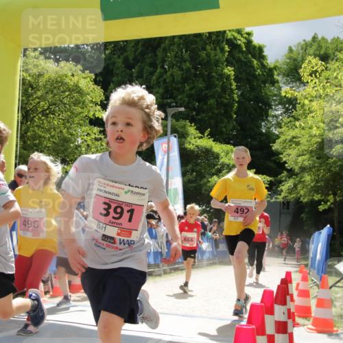 17.05.2025 - Störlauf H.Heesch http://msf.ph/oto/7900587 17.05.2025 13:57:39 Ziel 496, 2025, 391, 666, 492 meine-sportfotos.de