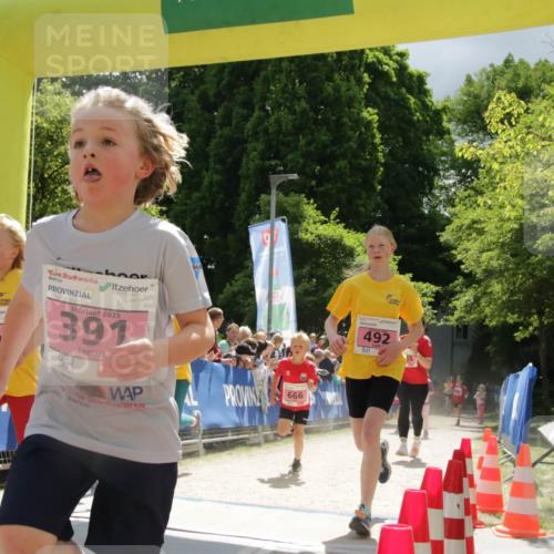 17.05.2025 - Störlauf H.Heesch http://msf.ph/oto/7900589 17.05.2025 13:57:39 Ziel 496, 2025, 391, 666, 492 meine-sportfotos.de