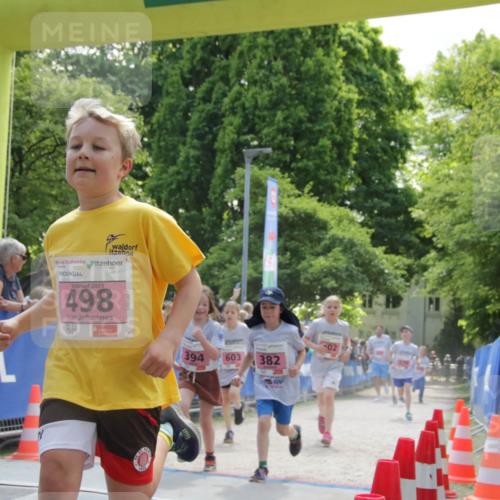 17.05.2025 - Störlauf H.Heesch http://msf.ph/oto/7900677 17.05.2025 13:58:26 Ziel 2025, 498, 394, 603, 382 meine-sportfotos.de