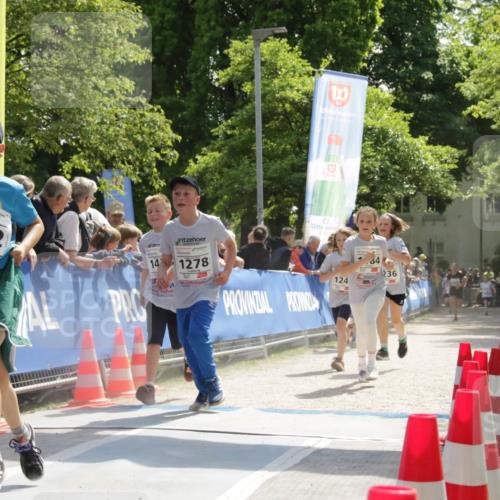 17.05.2025 - Störlauf H.Heesch http://msf.ph/oto/7900712 17.05.2025 14:50:42 Ziel 2025, 1302, 271, 14, 1278, 124, 64, 236 meine-sportfotos.de