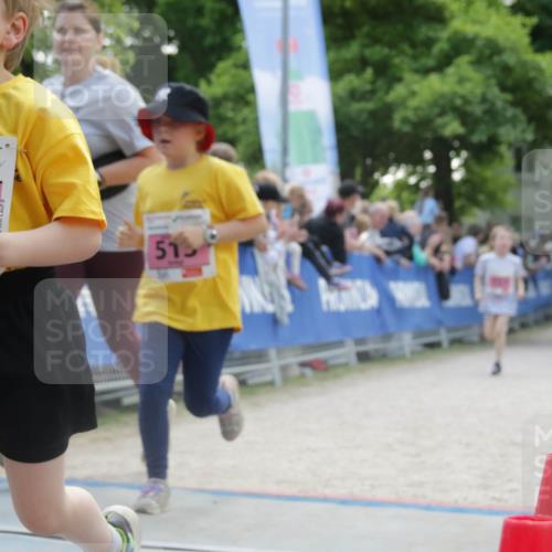 17.05.2025 - Störlauf H.Heesch http://msf.ph/oto/7900718 17.05.2025 13:58:54 Ziel 2025, 465, 7, 515 meine-sportfotos.de