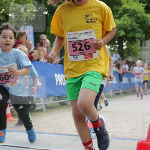 17.05.2025 - Störlauf H.Heesch http://msf.ph/oto/7900725 17.05.2025 13:59:02 Ziel 2025, 526, 20, 600 meine-sportfotos.de