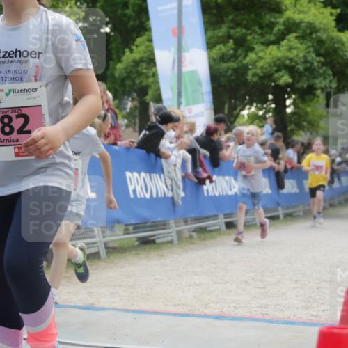 17.05.2025 - Störlauf H.Heesch http://msf.ph/oto/7900732 17.05.2025 13:59:04 Ziel 2025, 582 meine-sportfotos.de