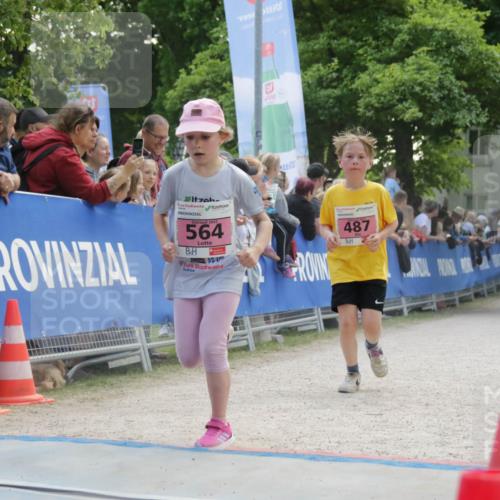 17.05.2025 - Störlauf H.Heesch http://msf.ph/oto/7900740 17.05.2025 13:59:07 Ziel 2025, 564, 199, 10, 12, 0, 487 meine-sportfotos.de