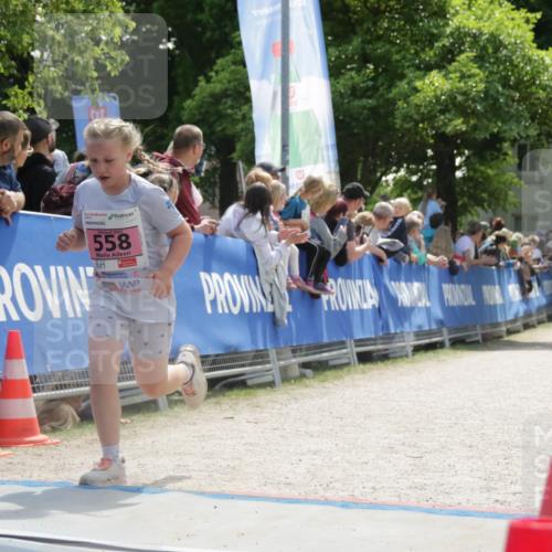 17.05.2025 - Störlauf H.Heesch http://msf.ph/oto/7900792 17.05.2025 13:59:53 Ziel 1992, 2025, 558, 43 meine-sportfotos.de