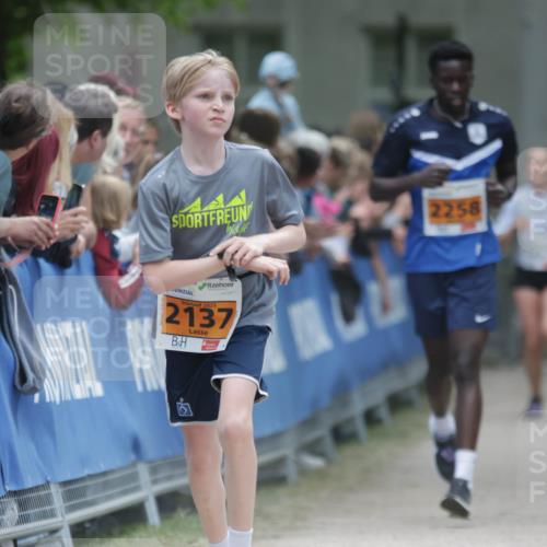 17.05.2025 - Störlauf H.Heesch http://msf.ph/oto/7900881 17.05.2025 15:24:08 Ziel 2025, 2137, 2258 meine-sportfotos.de
