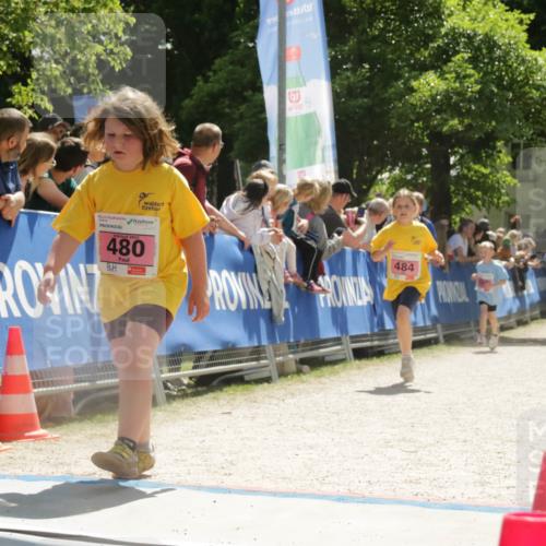 17.05.2025 - Störlauf H.Heesch http://msf.ph/oto/7900892 17.05.2025 14:01:06 Ziel 480, 484 meine-sportfotos.de