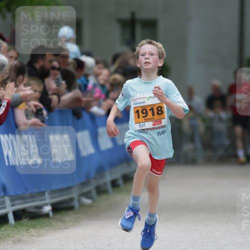 17.05.2025 - Störlauf H.Heesch http://msf.ph/oto/7900983 17.05.2025 15:24:31 Ziel 2025, 1918 meine-sportfotos.de