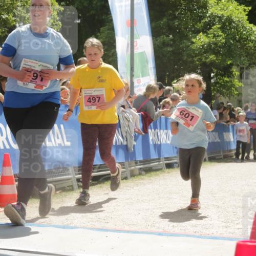 17.05.2025 - Störlauf H.Heesch http://msf.ph/oto/7901003 17.05.2025 14:02:10 Ziel 91, 12, 2, 497, 601, 405, 466 meine-sportfotos.de