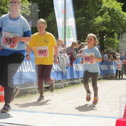 17.05.2025 - Störlauf H.Heesch http://msf.ph/oto/7901006 17.05.2025 14:02:10 Ziel 59, 1992, 12, 91, 12, 497, 60, 466, 557, 624, 405 meine-sportfotos.de