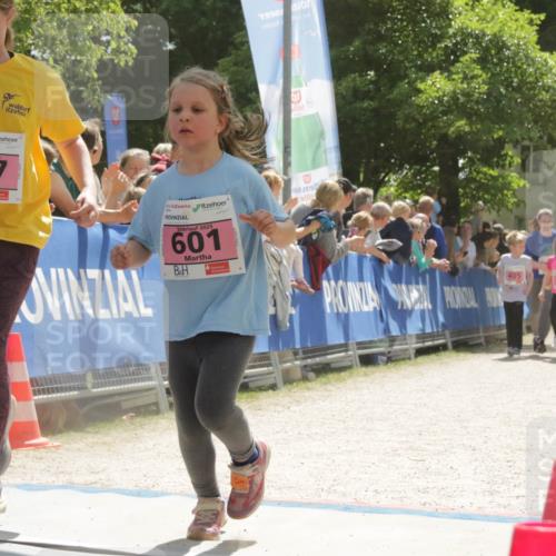 17.05.2025 - Störlauf H.Heesch http://msf.ph/oto/7901019 17.05.2025 14:02:11 Ziel 497, 2025, 601, 1992, 466, 557, 405 meine-sportfotos.de