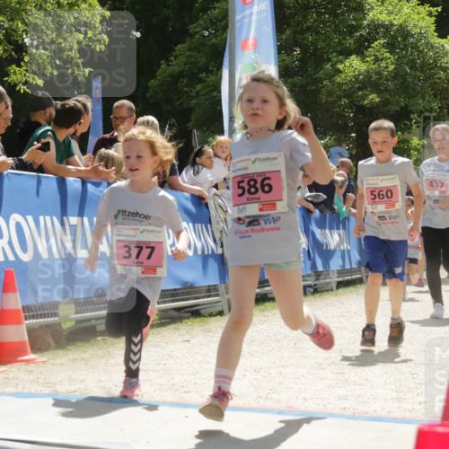 17.05.2025 - Störlauf H.Heesch http://msf.ph/oto/7901053 17.05.2025 14:02:17 Ziel 77, 199, 2025, 586, 560, 437, 387, 573 meine-sportfotos.de