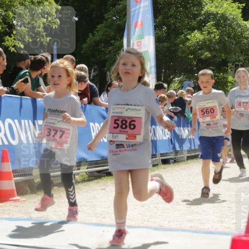 17.05.2025 - Störlauf H.Heesch http://msf.ph/oto/7901055 17.05.2025 14:02:17 Ziel 199, 377, 2025, 586, 560, 39, 437, 07, 387, 347 meine-sportfotos.de