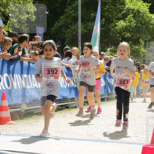 17.05.2025 - Störlauf H.Heesch http://msf.ph/oto/7901075 17.05.2025 14:02:20 Ziel 2025, 37, 2025, 392, 407, 387, 485, 495, 56, 573 meine-sportfotos.de