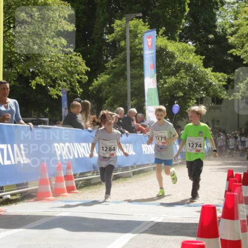 17.05.2025 - Störlauf H.Heesch http://msf.ph/oto/7901191 17.05.2025 14:54:20 Ziel 1284, 1279, 1274 meine-sportfotos.de