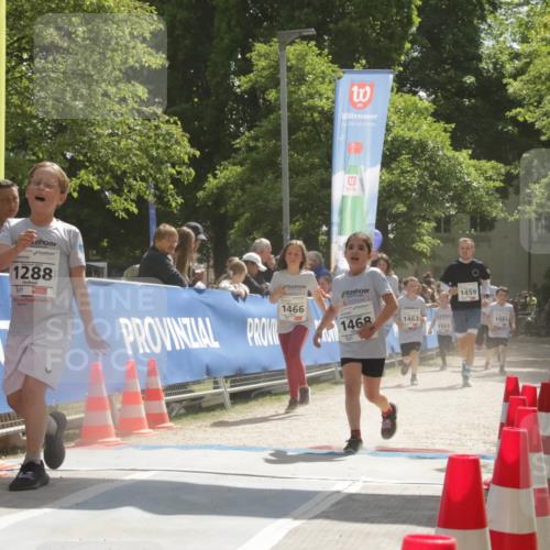 17.05.2025 - Störlauf H.Heesch http://msf.ph/oto/7901208 17.05.2025 14:54:28 Ziel 1288, 3, 1466, 1468, 1463, 1563, 1459, 1061 meine-sportfotos.de