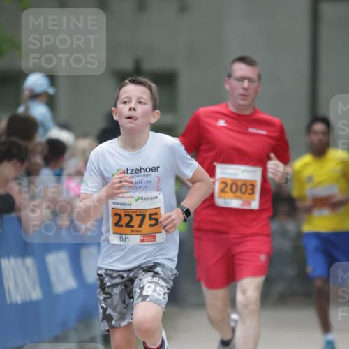 17.05.2025 - Störlauf H.Heesch http://msf.ph/oto/7901337 17.05.2025 15:25:25 Ziel 2025, 2275, 2003, 85 meine-sportfotos.de