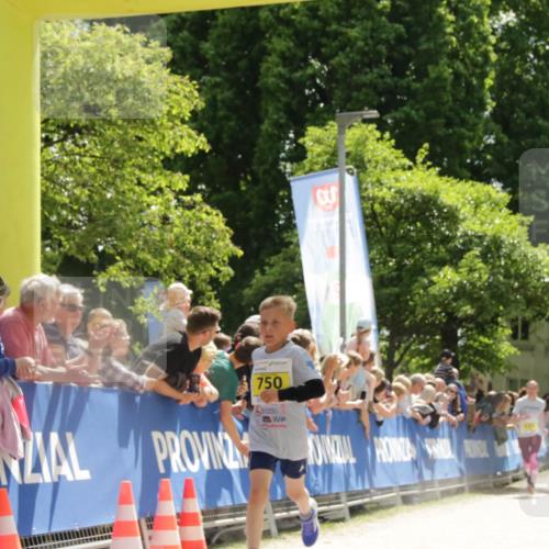 17.05.2025 - Störlauf H.Heesch http://msf.ph/oto/7901363 17.05.2025 14:12:14 Ziel 750 meine-sportfotos.de