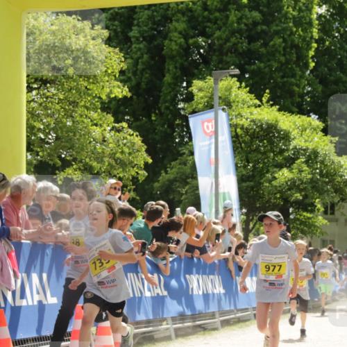 17.05.2025 - Störlauf H.Heesch http://msf.ph/oto/7901370 17.05.2025 14:12:26 Ziel 128, 735, 977, 06 meine-sportfotos.de