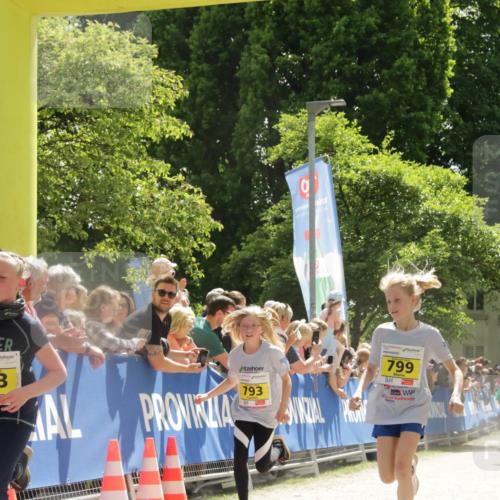 17.05.2025 - Störlauf H.Heesch http://msf.ph/oto/7901415 17.05.2025 14:12:34 Ziel 1992, 703, 793, 799, 59, 681, 877 meine-sportfotos.de