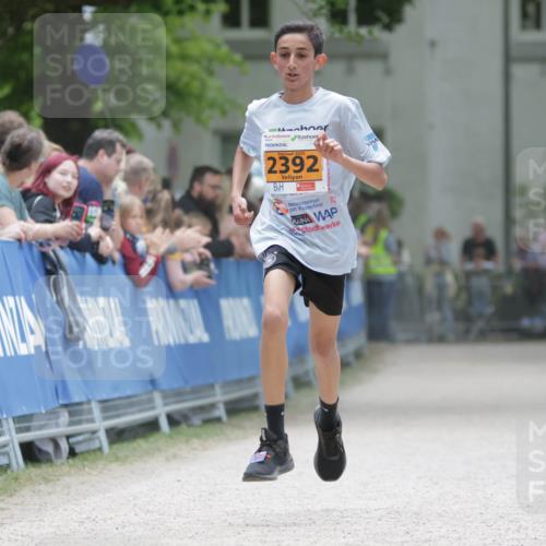 17.05.2025 - Störlauf H.Heesch http://msf.ph/oto/7901432 17.05.2025 15:25:47 Ziel 2025, 2392, 25 meine-sportfotos.de
