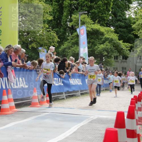 17.05.2025 - Störlauf H.Heesch http://msf.ph/oto/7901480 17.05.2025 14:13:12 Ziel 831, 19, 803, 714, 715 meine-sportfotos.de