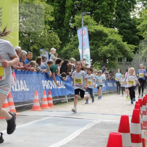 17.05.2025 - Störlauf H.Heesch http://msf.ph/oto/7901497 17.05.2025 14:13:14 Ziel 2025, 831, 803, 19, 714, 715 meine-sportfotos.de