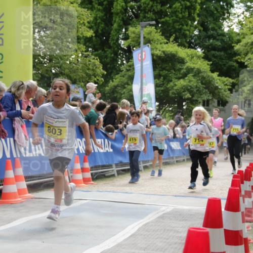 17.05.2025 - Störlauf H.Heesch http://msf.ph/oto/7901502 17.05.2025 14:13:15 Ziel 803, 819, 714, 47, 715 meine-sportfotos.de