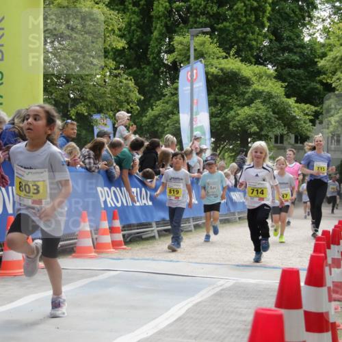 17.05.2025 - Störlauf H.Heesch http://msf.ph/oto/7901509 17.05.2025 14:13:15 Ziel 2025, 803, 199, 819, 714, 47, 715 meine-sportfotos.de