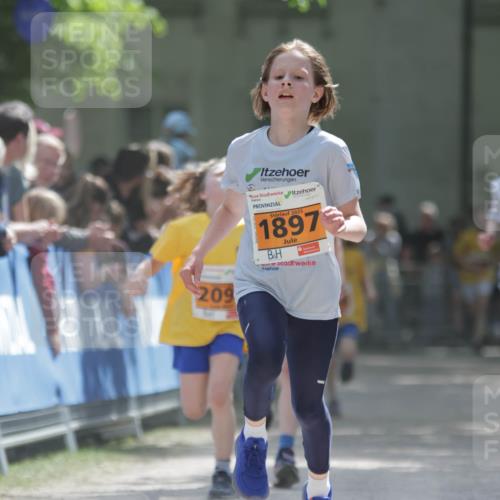 17.05.2025 - Störlauf H.Heesch http://msf.ph/oto/7901790 17.05.2025 15:27:32 Ziel 209, 2025, 1897 meine-sportfotos.de