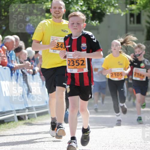 17.05.2025 - Störlauf H.Heesch http://msf.ph/oto/7901927 17.05.2025 15:28:06 Ziel 343, 2025, 2352, 2105, 214 meine-sportfotos.de