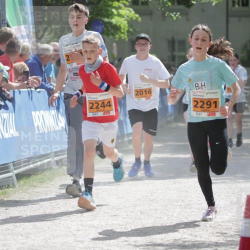 17.05.2025 - Störlauf H.Heesch http://msf.ph/oto/7902007 17.05.2025 15:28:23 Ziel 2244, 2016, 2025, 2291 meine-sportfotos.de
