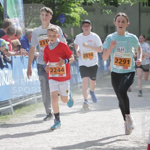 17.05.2025 - Störlauf H.Heesch http://msf.ph/oto/7902009 17.05.2025 15:28:23 Ziel 231, 2244, 2016, 2291 meine-sportfotos.de