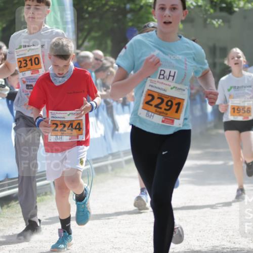 17.05.2025 - Störlauf H.Heesch http://msf.ph/oto/7902024 17.05.2025 15:28:24 Ziel 2310, 2025, 2244, 2525, 2291, 1956 meine-sportfotos.de