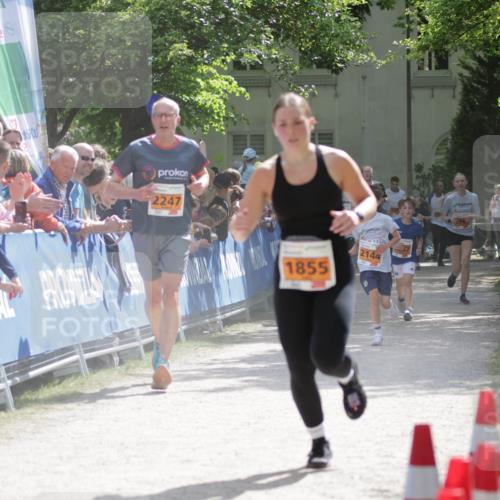17.05.2025 - Störlauf H.Heesch http://msf.ph/oto/7902063 17.05.2025 15:28:32 Ziel 4, 2247, 1855, 2144 meine-sportfotos.de