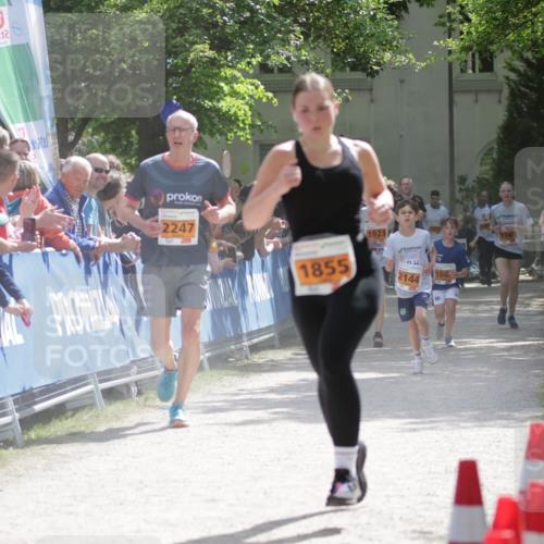 17.05.2025 - Störlauf H.Heesch http://msf.ph/oto/7902065 17.05.2025 15:28:32 Ziel 2, 2247, 1923, 1855, 2144, 186, 1961 meine-sportfotos.de