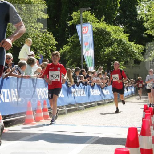 17.05.2025 - Störlauf H.Heesch http://msf.ph/oto/7902090 17.05.2025 14:42:01 Ziel 2025, 1555, 1601, 3, 1526, 1620 meine-sportfotos.de