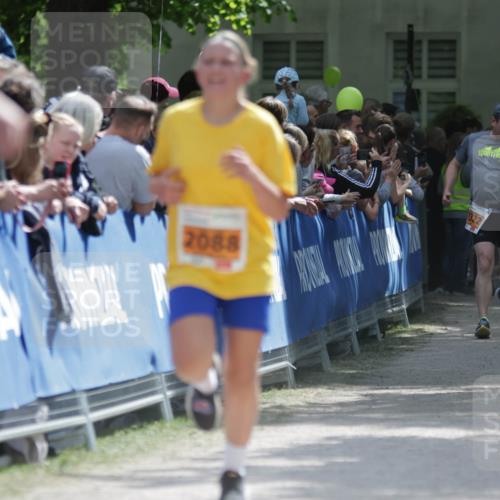 17.05.2025 - Störlauf H.Heesch http://msf.ph/oto/7902417 17.05.2025 15:29:41 Ziel 2088 meine-sportfotos.de