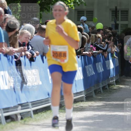 17.05.2025 - Störlauf H.Heesch http://msf.ph/oto/7902420 17.05.2025 15:29:41 Ziel 2088 meine-sportfotos.de