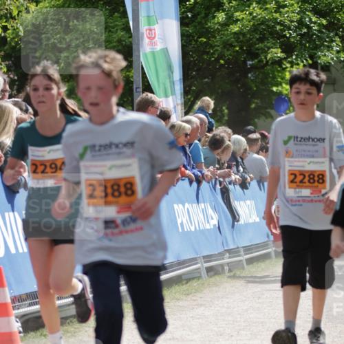17.05.2025 - Störlauf H.Heesch http://msf.ph/oto/7902519 17.05.2025 15:29:56 Ziel 3, 2294, 2388, 2288 meine-sportfotos.de