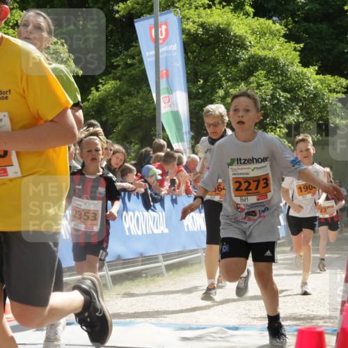 17.05.2025 - Störlauf H.Heesch http://msf.ph/oto/7906580 17.05.2025 15:28:58 Ziel 199, 19, 5634, 2353, 364, 2273, 143, 190 meine-sportfotos.de