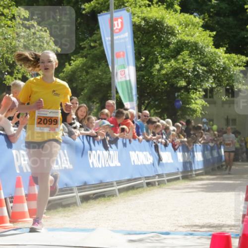 17.05.2025 - Störlauf H.Heesch http://msf.ph/oto/7906636 17.05.2025 15:29:25 Ziel 2099 meine-sportfotos.de