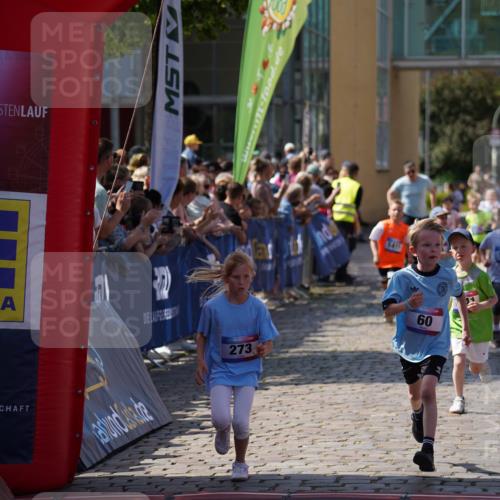 13.06.2025 - Holstenköstenlauf Felixshl http://msf.ph/oto/7922400 13.06.2025 15:37:26 Laufen 31, 44, 60, 176, 177, 273, 279, 824, 827, 947, 1378, 1411, 1437, 1441, 1446, 1447, 1863, 1884 meine-sportfotos.de
