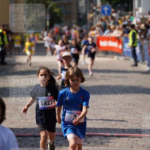 13.06.2025 - Holstenköstenlauf Felixshl http://msf.ph/oto/7922519 13.06.2025 15:37:57 Laufen 3, 39, 426, 428, 429, 572, 942, 1827, 1855 meine-sportfotos.de