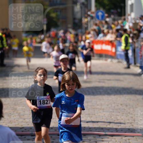 13.06.2025 - Holstenköstenlauf Felixshl http://msf.ph/oto/7922521 13.06.2025 15:37:57 Laufen 3, 39, 426, 428, 429, 572, 942, 1827, 1855 meine-sportfotos.de