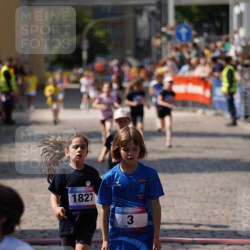 13.06.2025 - Holstenköstenlauf Felixshl http://msf.ph/oto/7922523 13.06.2025 15:37:57 Laufen 3, 39, 426, 428, 429, 572, 942, 1827, 1855 meine-sportfotos.de